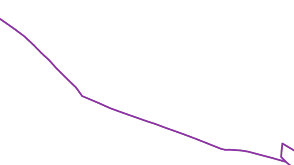 fiber